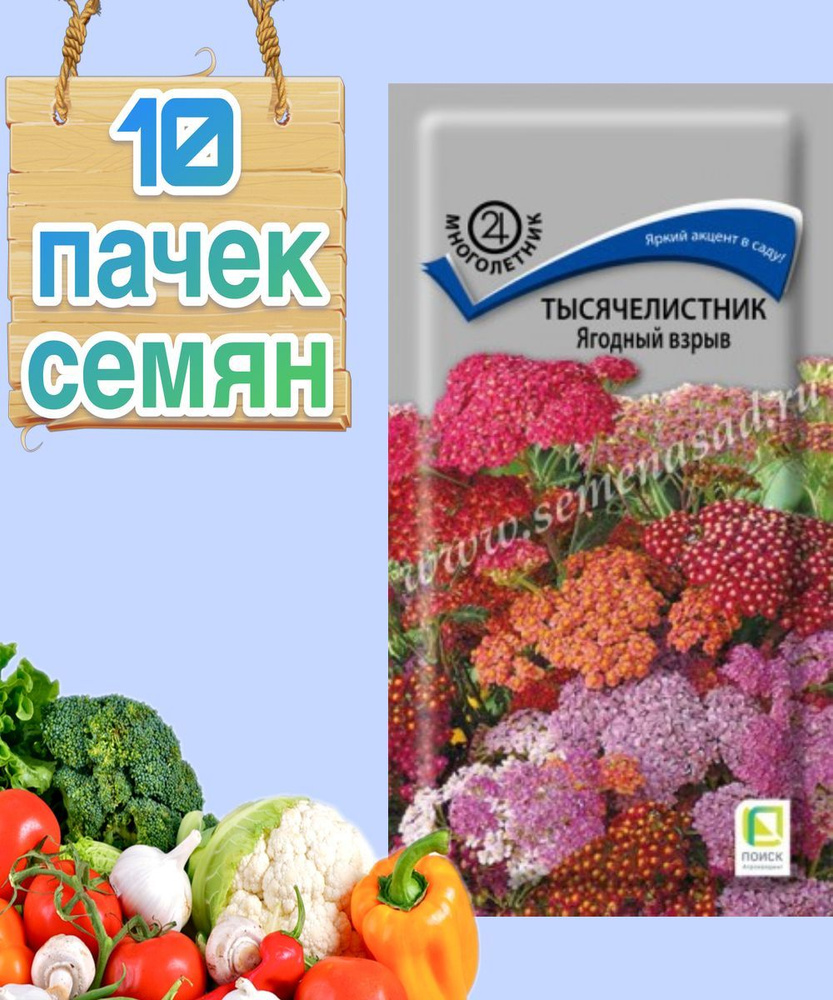 Тысячелистник Ягодный взрыв 10шт 60 см (Поиск) - 10 пачек семян / для  открытого грунта, выращивание дома / семена элитные