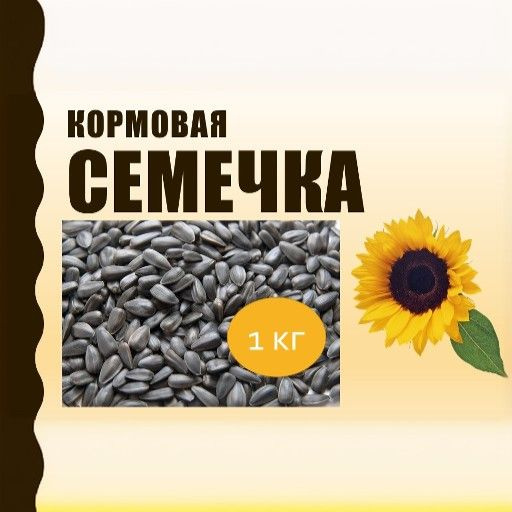 семечка кормовая #1