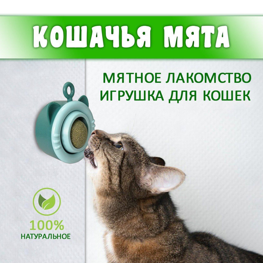 Кошачья мята / Шарик с кошачьей мятой на стену / Лакомство для кошек -  купить с доставкой по выгодным ценам в интернет-магазине OZON (1569141285)