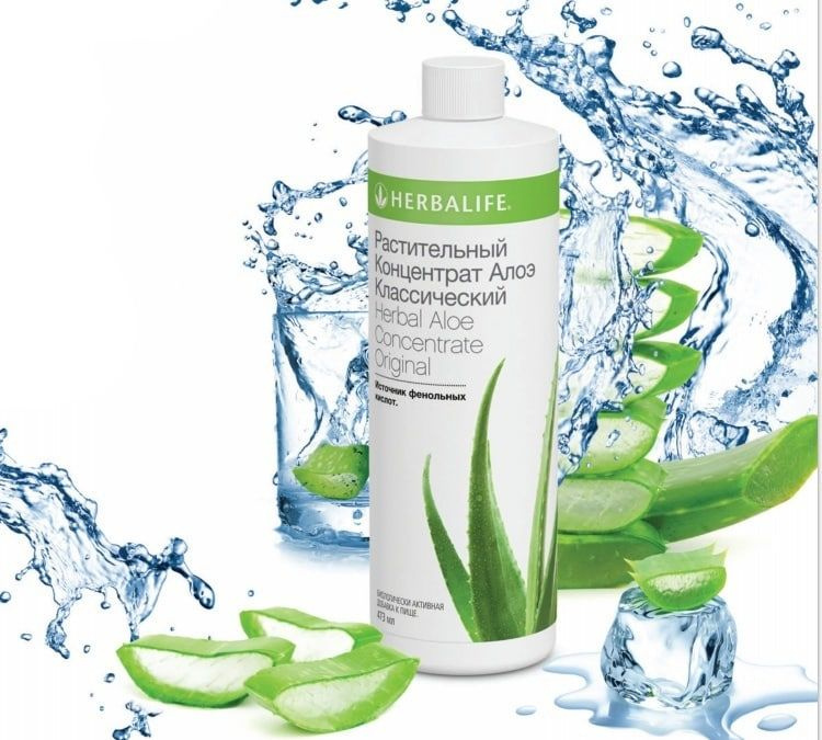 Herbalife Растительный напиток Алоэ классический - купить с доставкой ...