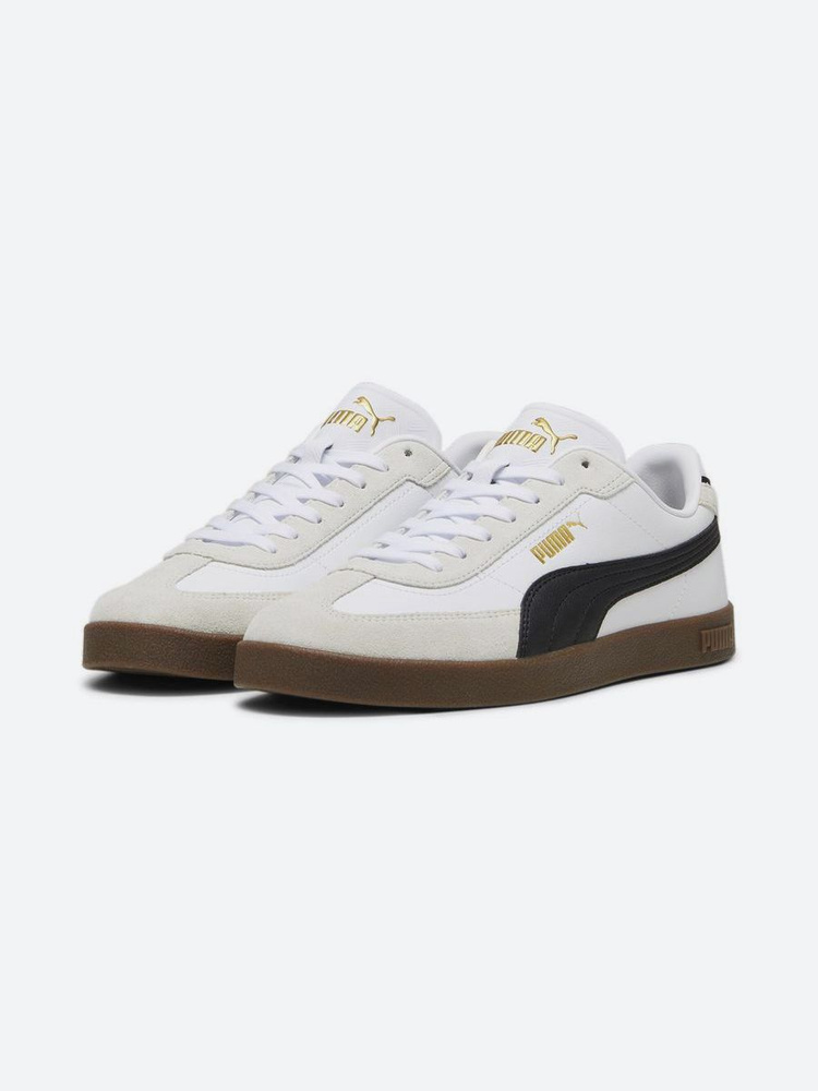 Puma 2 online