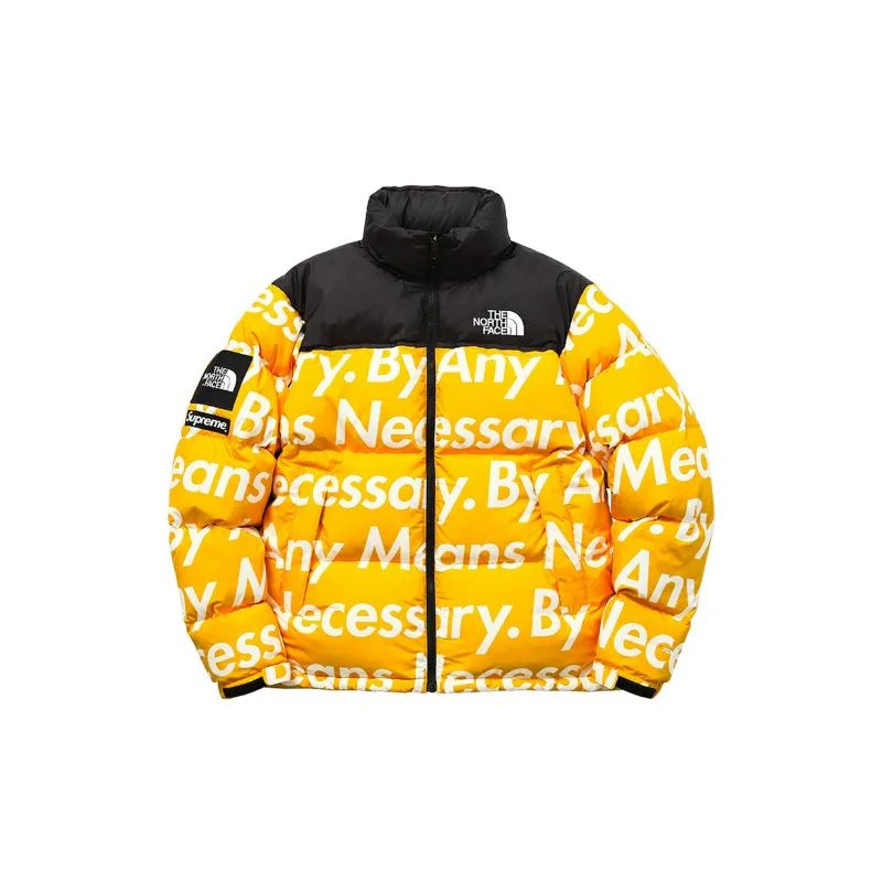 Пуховик M 1996 Retro Nuptse Jacket #1