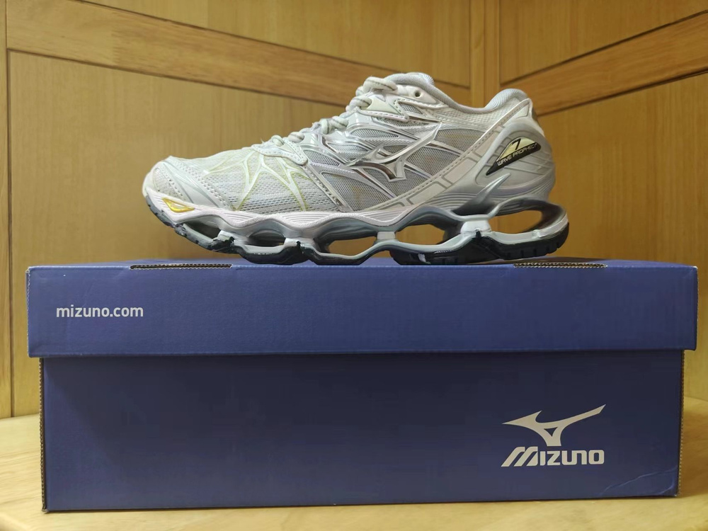 Кроссовки Mizuno 0000102217 #1