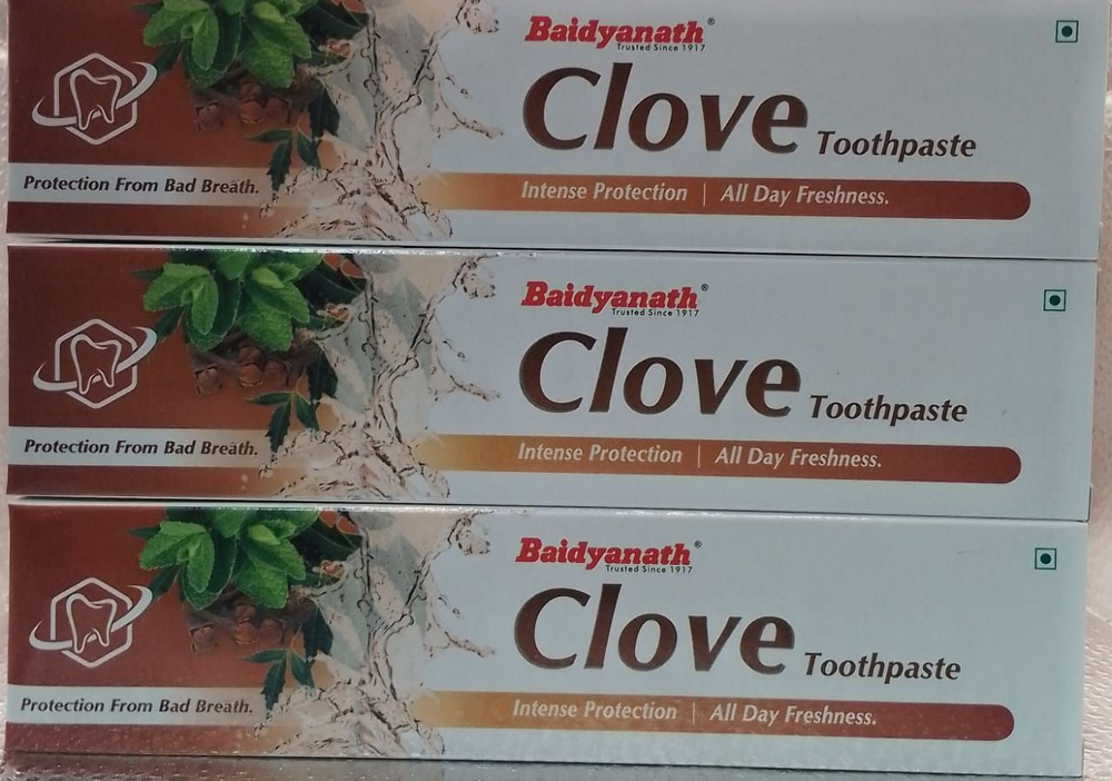 Аюрведическая зубная паста Гвоздика (toothpaste) Baidyanath Бэйдинат 100г Индия, 3 шт  #1