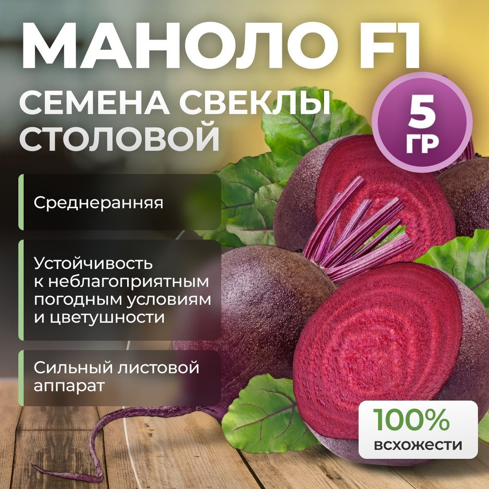 Маноло F1 семена свеклы среднеранней, 5 гр (Bejo / ALEXAGRO). Высокоурожайный гибрид для открытого грунта #1