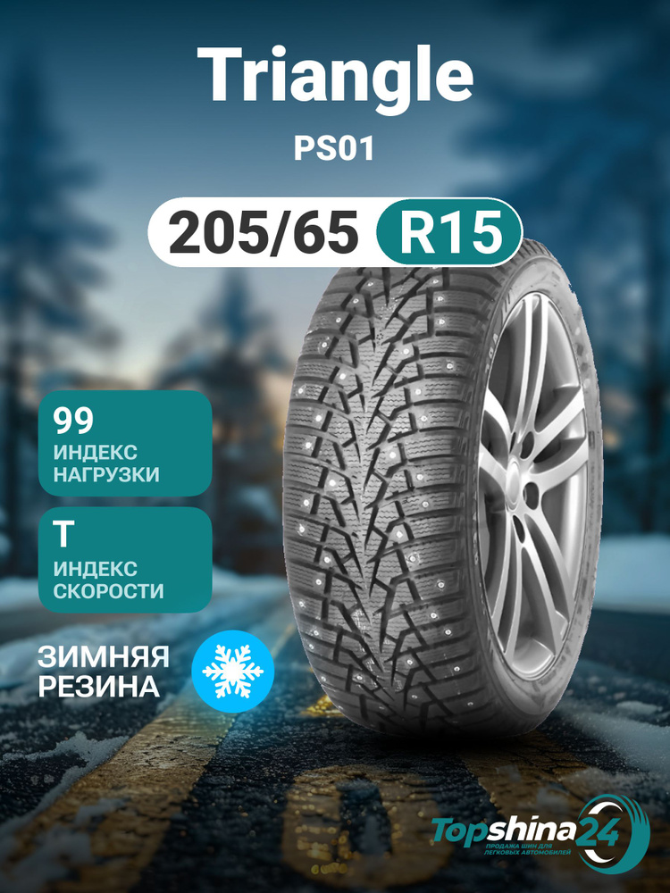 Triangle PS01 Шины  зимние 205/65  R15 99T Шипованные #1