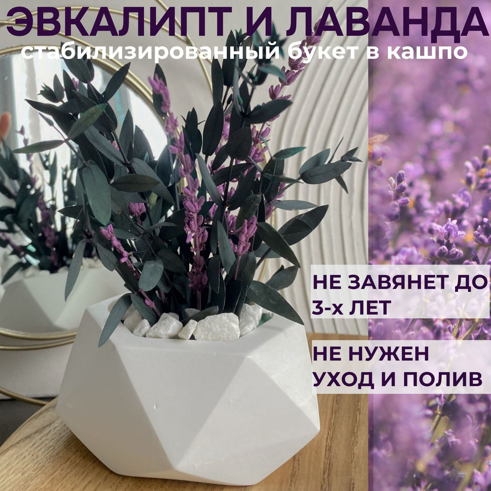 Эвкалипт стабилизированный и лаванда в кашпо для декора дома интерьера/букет из сухоцветов #1