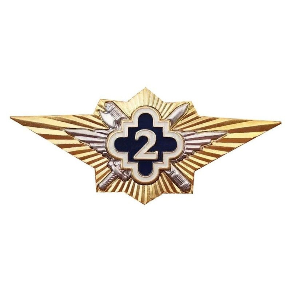 Знак нагрудный Классность офицерского состава ФСИН "2" 699634  #1