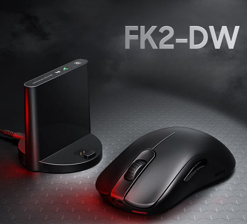 Мышь Zowie FK2-DW , черный купить c доставкой на OZON по низкой