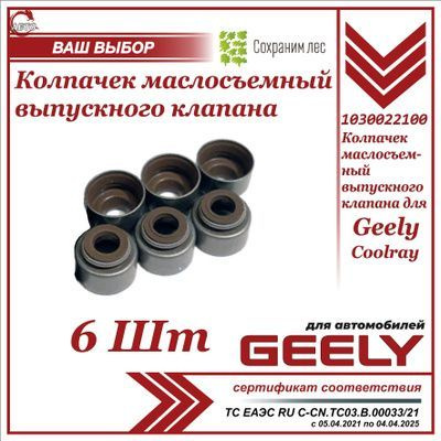 Колпачок маслосъемный выпускного клапана 6 ШТ. для Geely Coolray / Джили Кулрей / 1030022100  #1