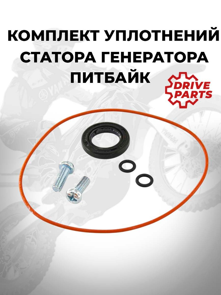 Комплект уплотнений статора генератора питбайка #1