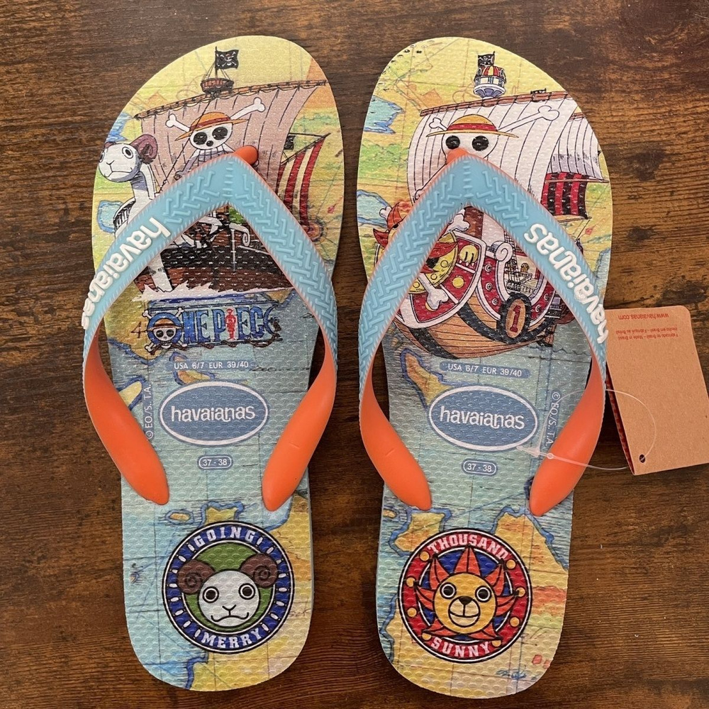 Сланцы Havaianas #1
