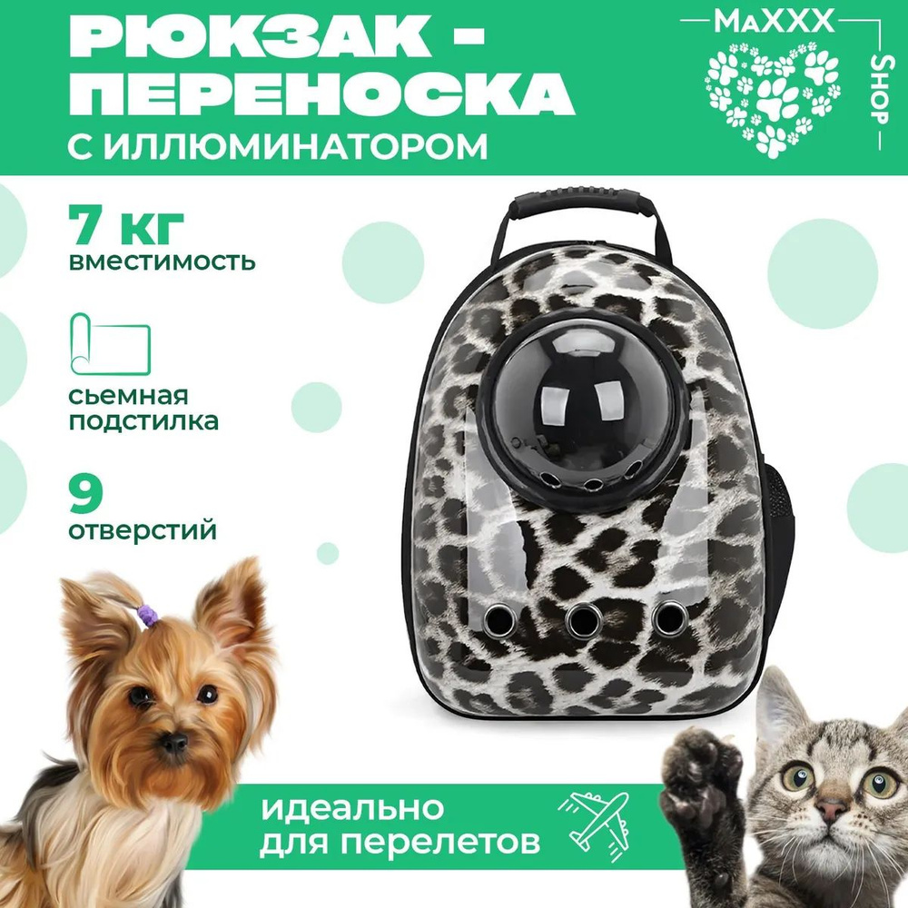 Переноска #1