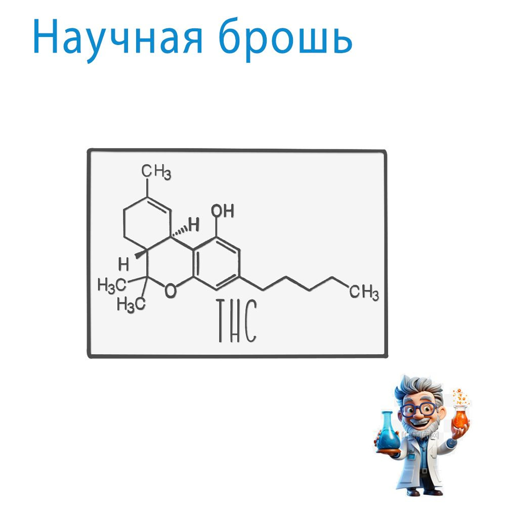 Брошь #1