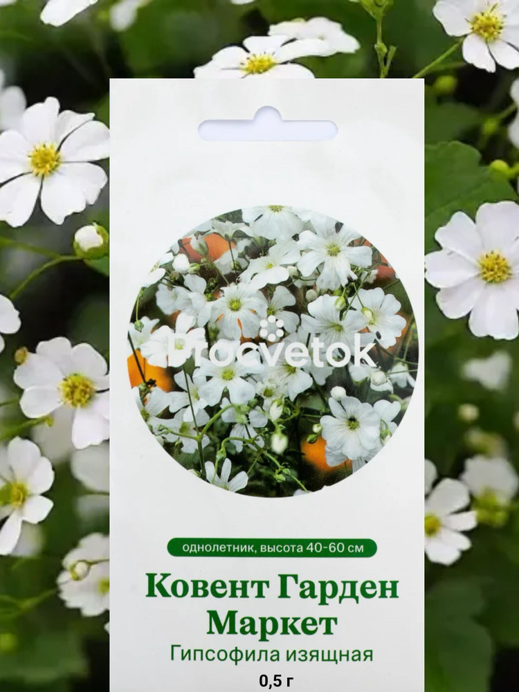 Семена Гипсофила изящная Ковент Гарден Маркет 0,5 г, Процветок #1