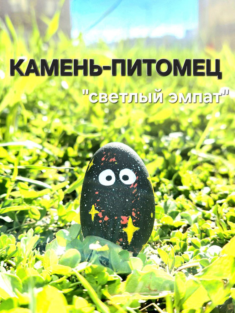 Камень-питомец #1