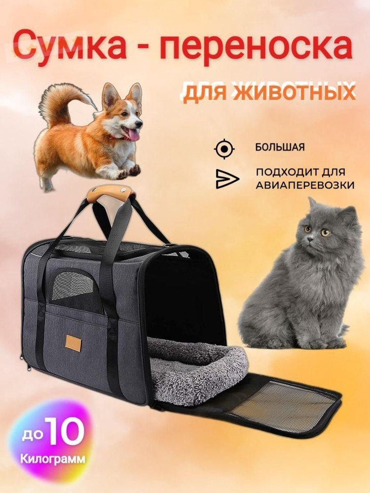 Переноска #1