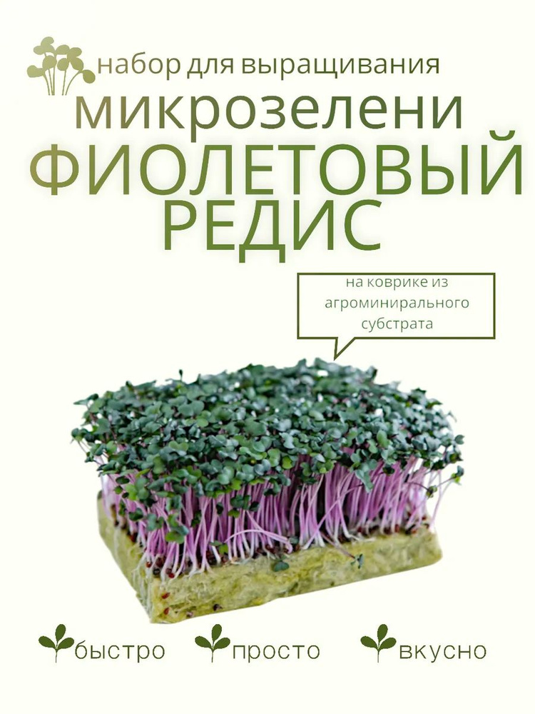 Микрозелень Фиолетовый редис, набор #1