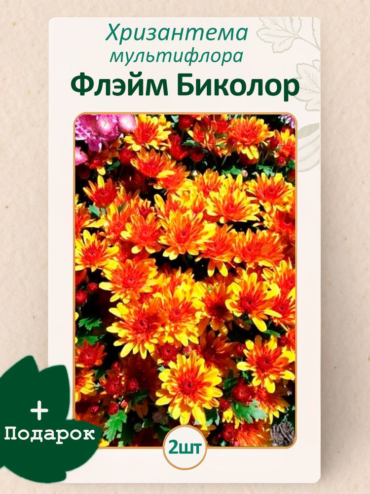 Саженец #1