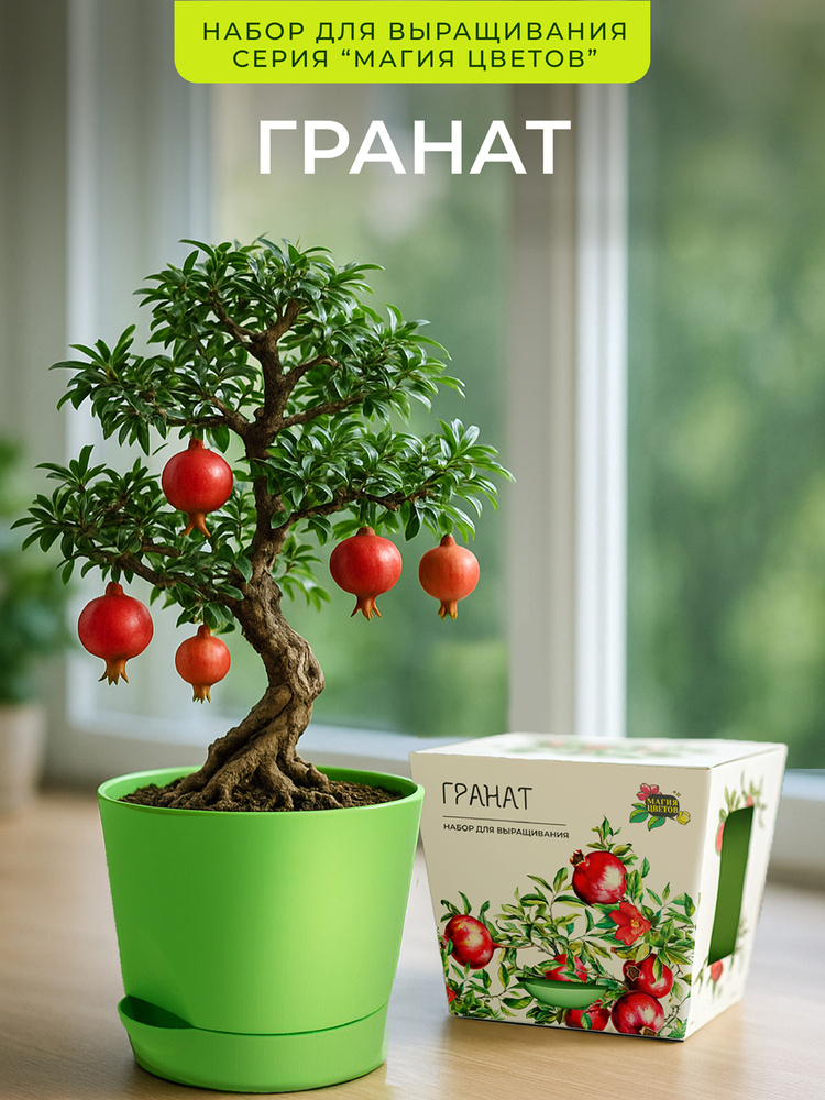 Гранат Набор для выращивания растений #1