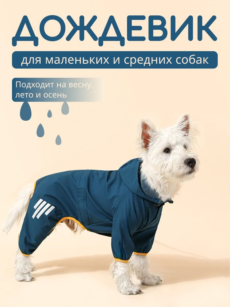 Одежда для животных #1