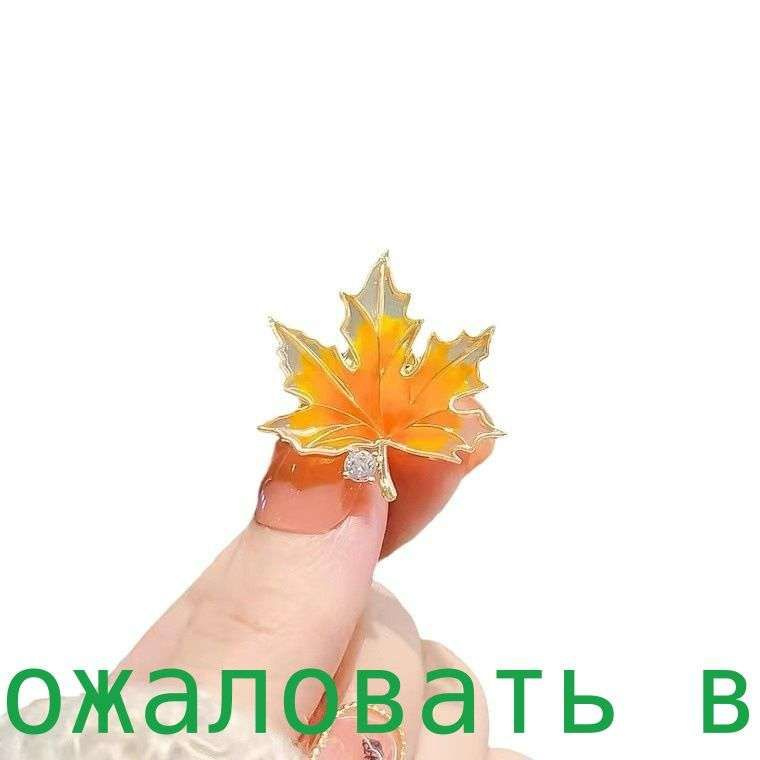 Брошь #1
