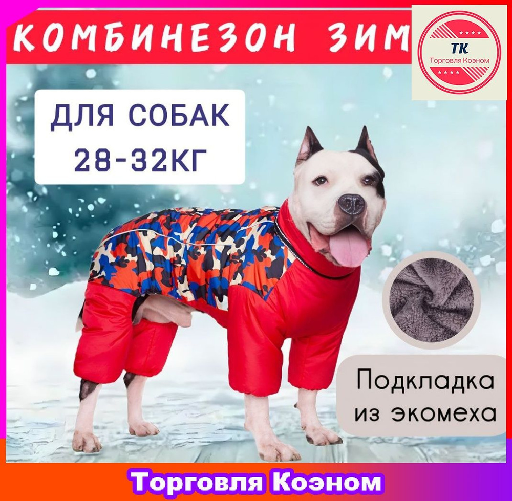 Одежда для животных #1