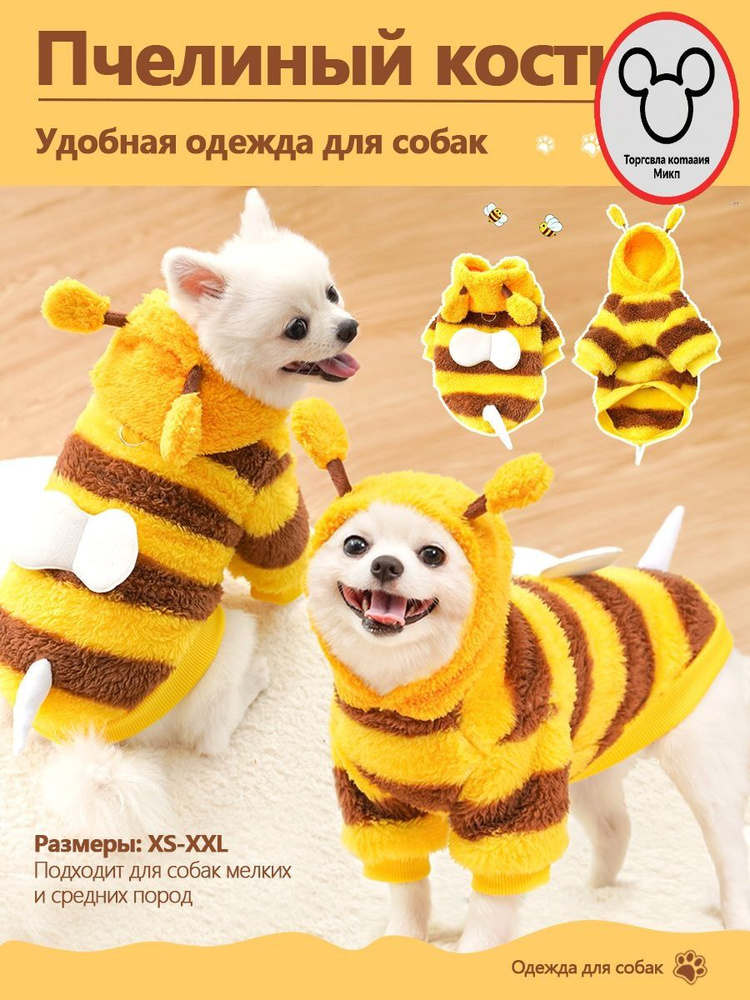 Одежда для животных #1