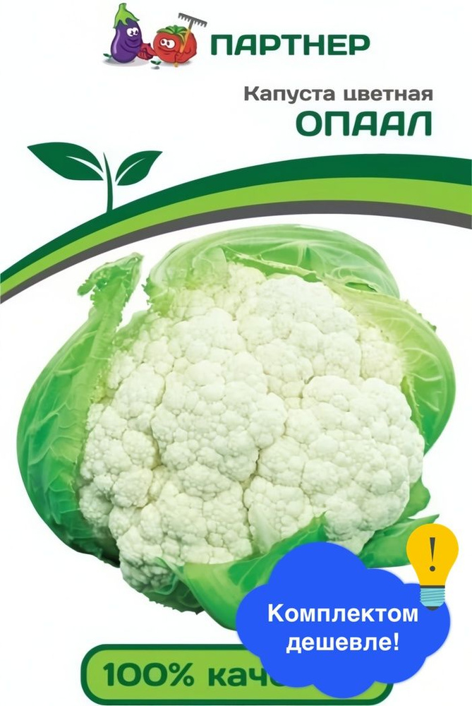 Капуста цветная Опаал #1