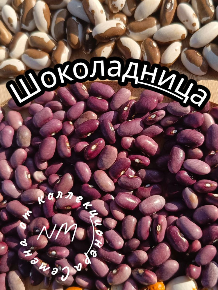 Семена ,10шт #1