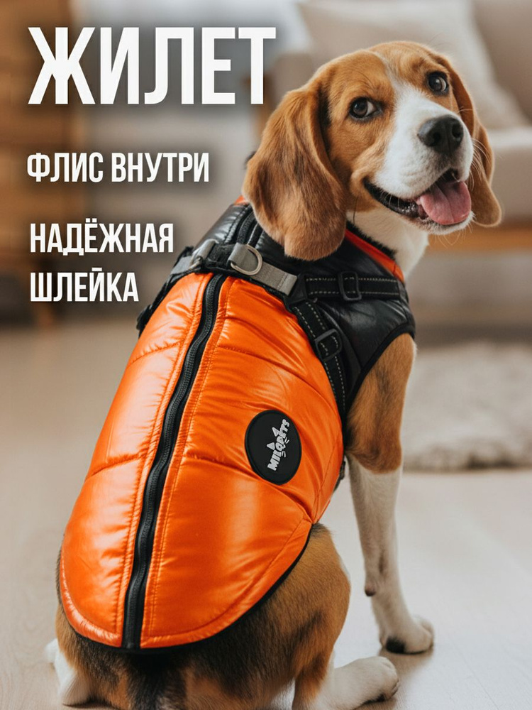Одежда для животных #1