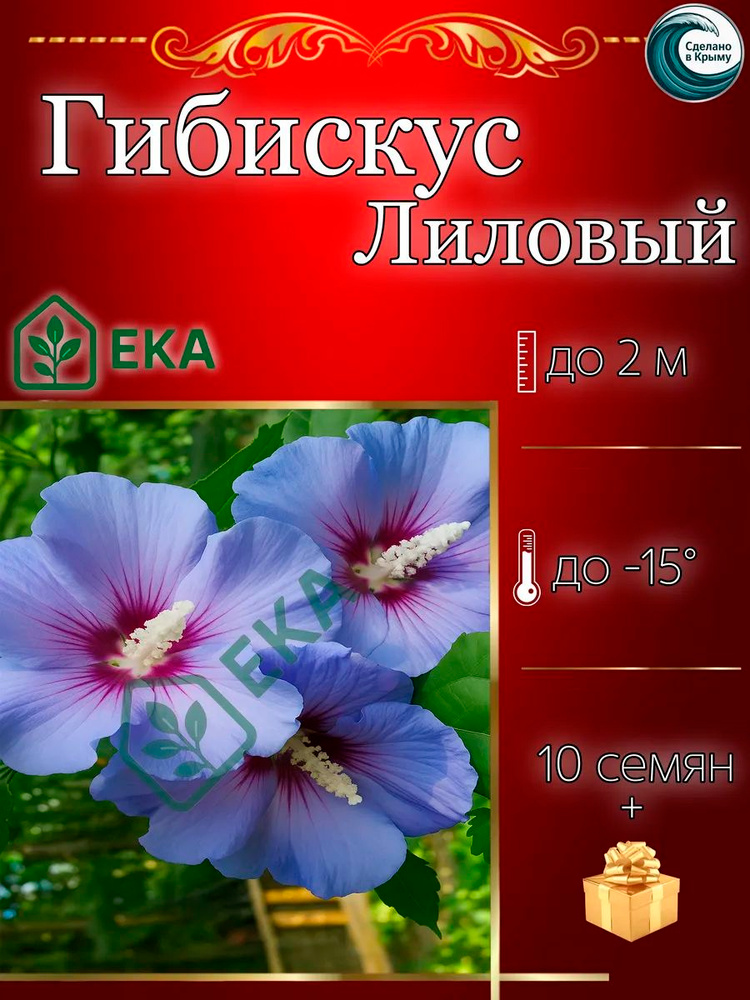 Семена ,10шт #1