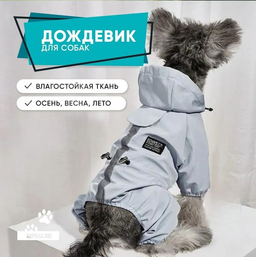 Одежда для животных #1