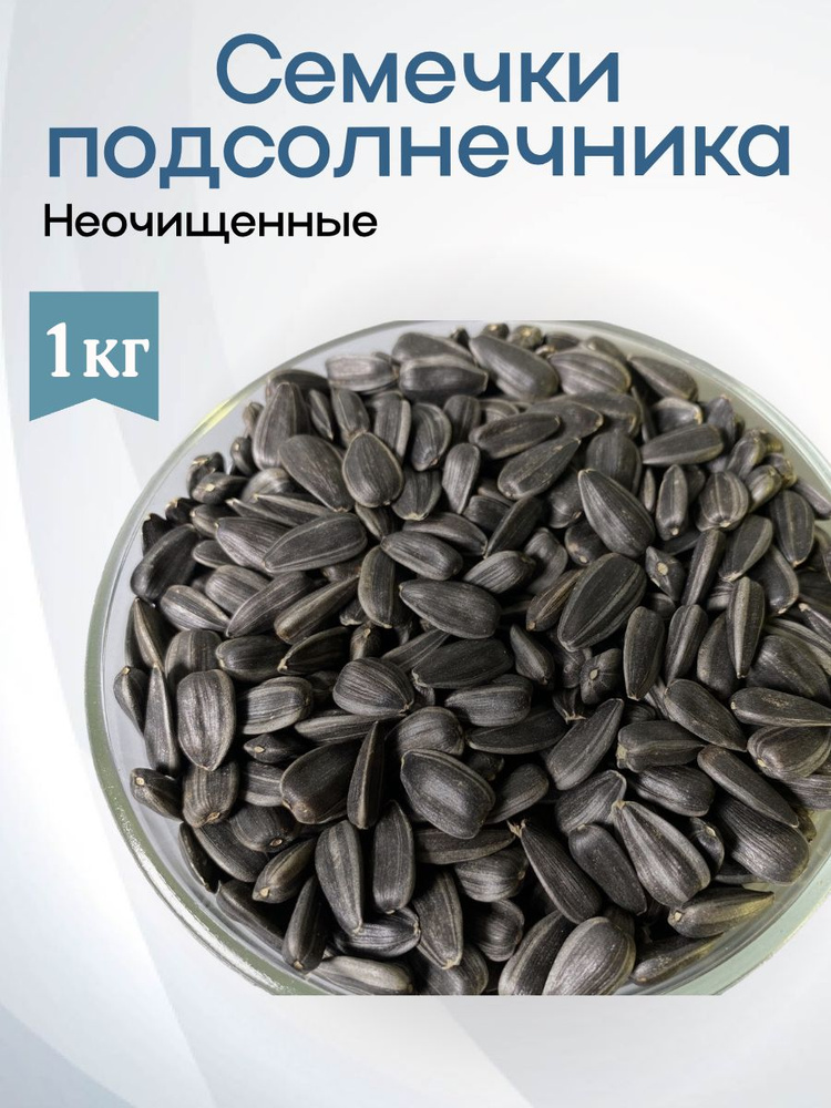Ядро подсолнечника #1