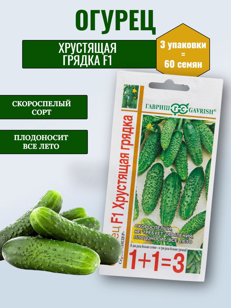 Гавриш Семена #1