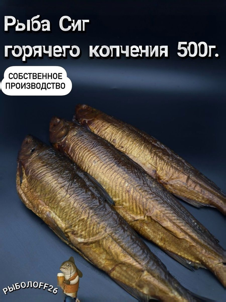 500-ozon-3347264703