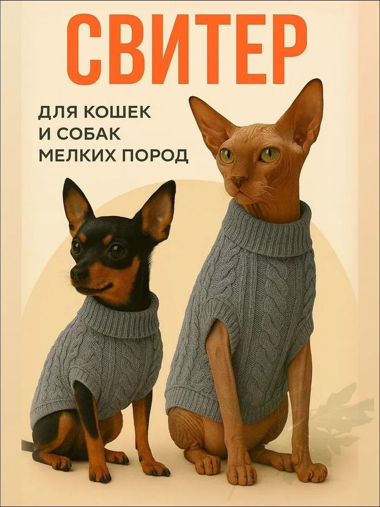 Одежда для животных #1