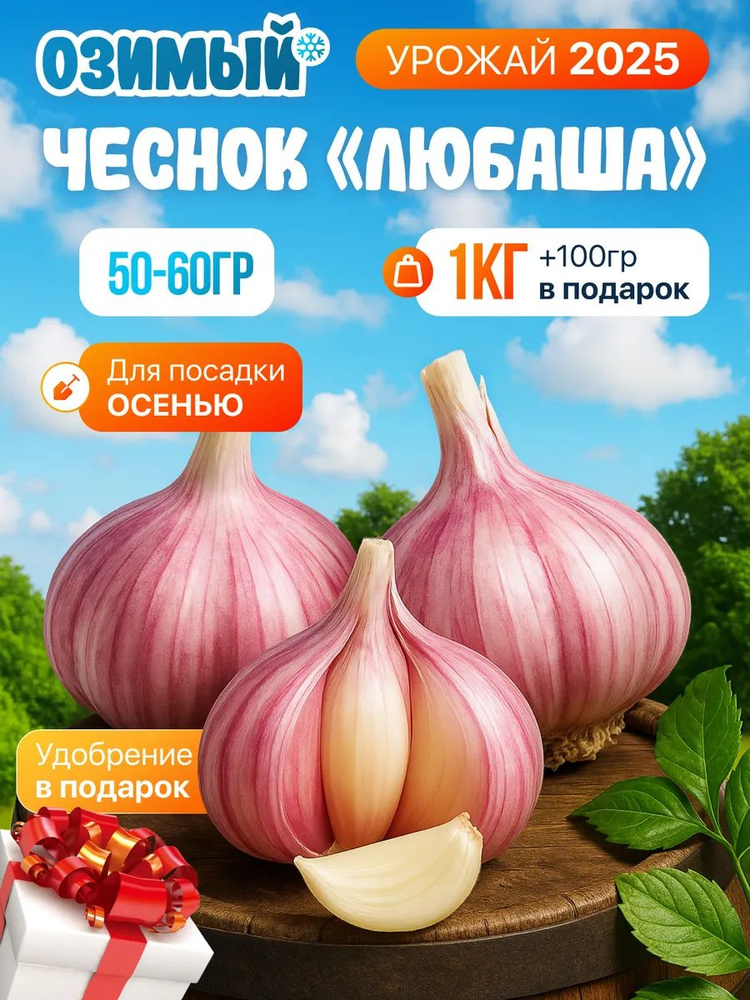 Семена #1