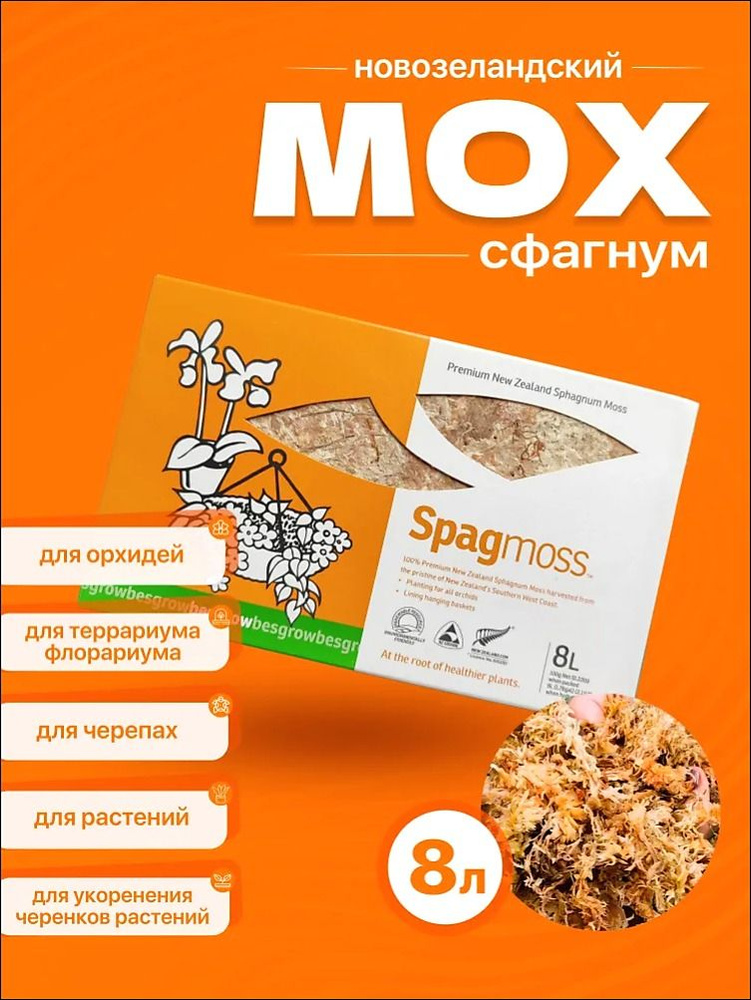 Мох #1