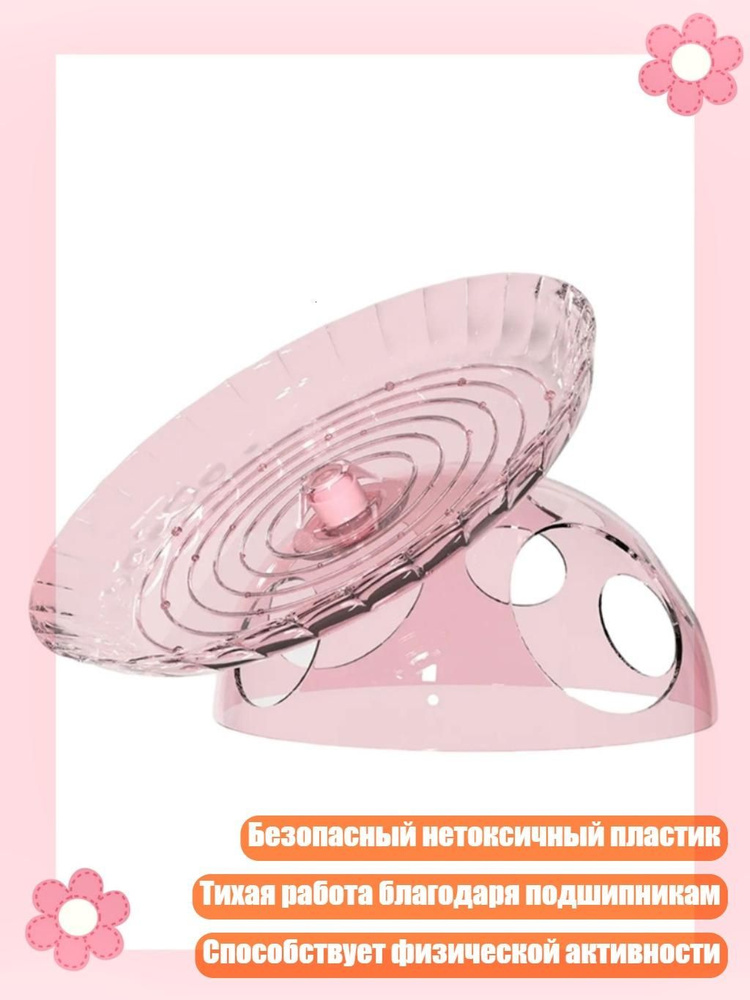 Фрисби #1