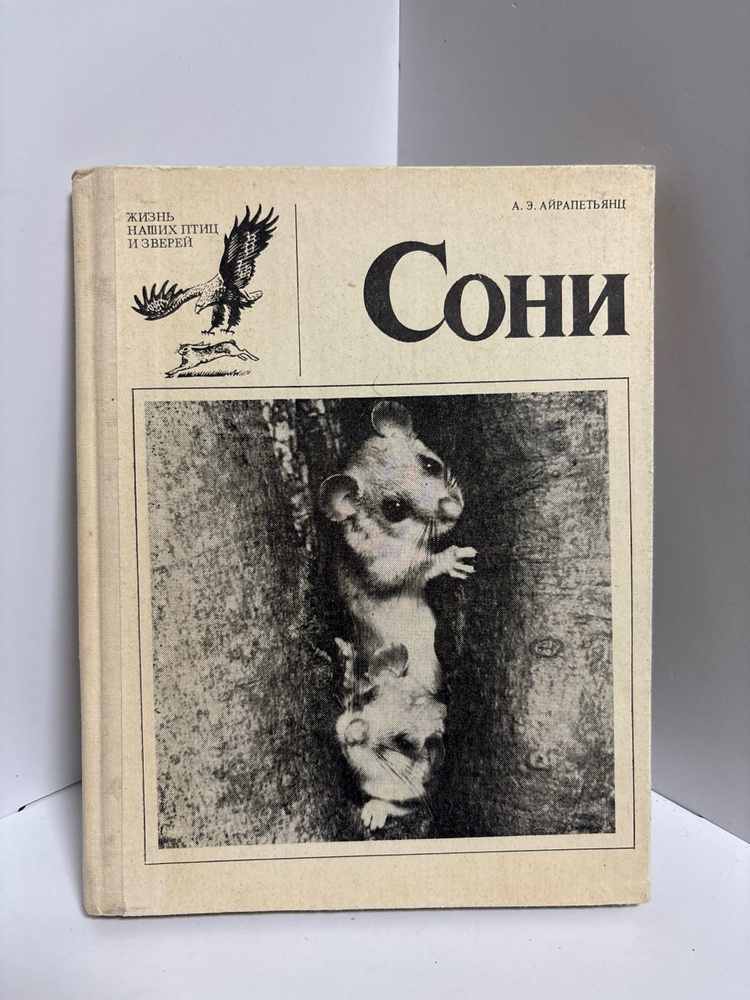 Сони #1
