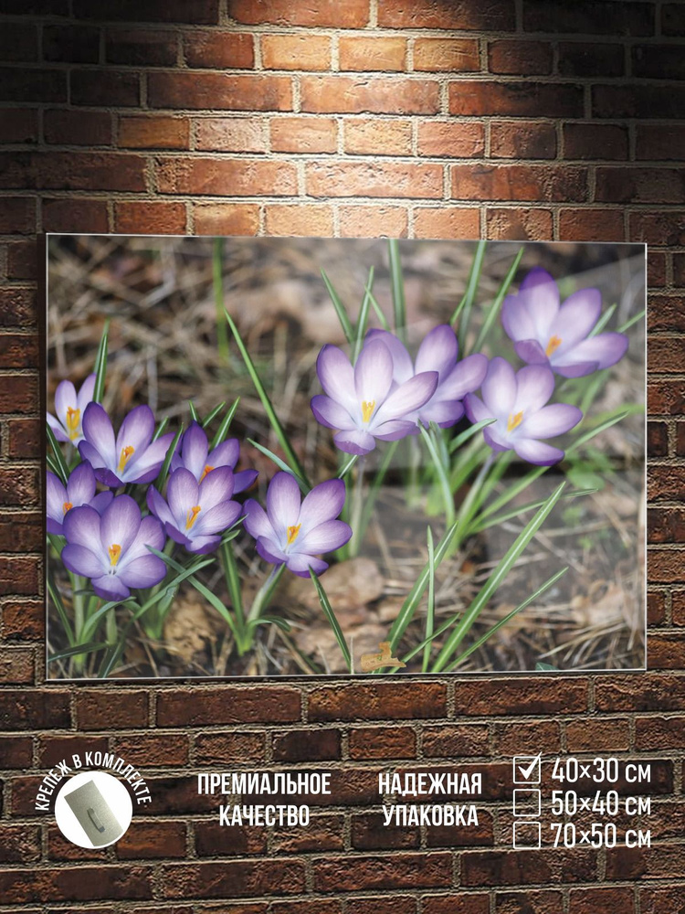 Картина Крокусы, стекло, 40х30 см ПолиЦентр #1