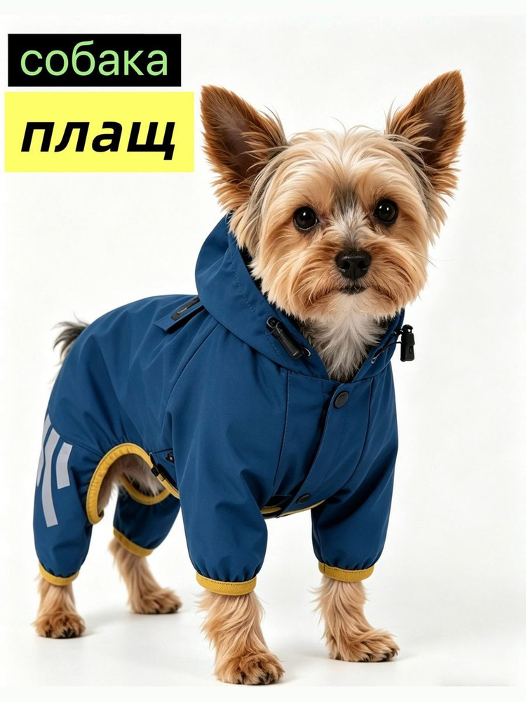 Дождевик для щенк,M #1