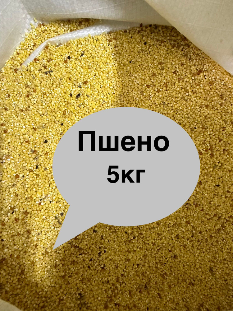 Пшено (просо) кормовое мешок (5кг) #1