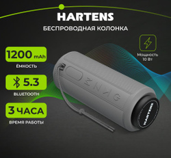 Беспроводная портативная блютуз колонка / Акустическая система HARTENS HSP-020G с Bluetooth, 10Вт, 1200мА*ч, microSD, FM-радио,  серая