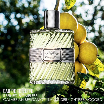 Dior Sauvage 100 ml Eau Men Perfume купить на OZON по низкой цене