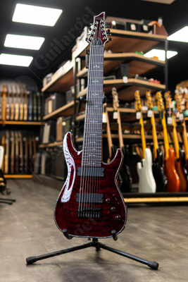 SCHECTER HELLRAISER купить на OZON по низкой цене