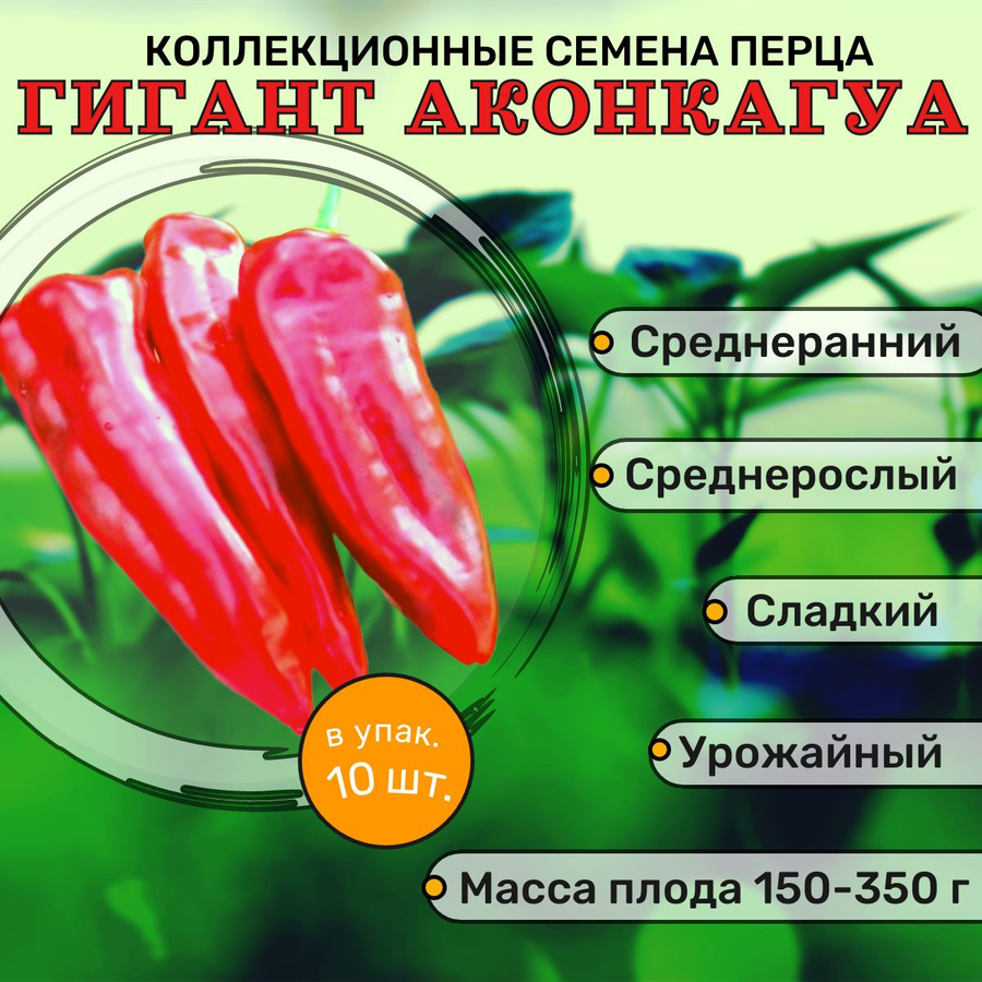 Перец аконкагуа описание сорта фото отзывы Семена Перца Златозар - купить в интернет-магазине OZON по низкой цене