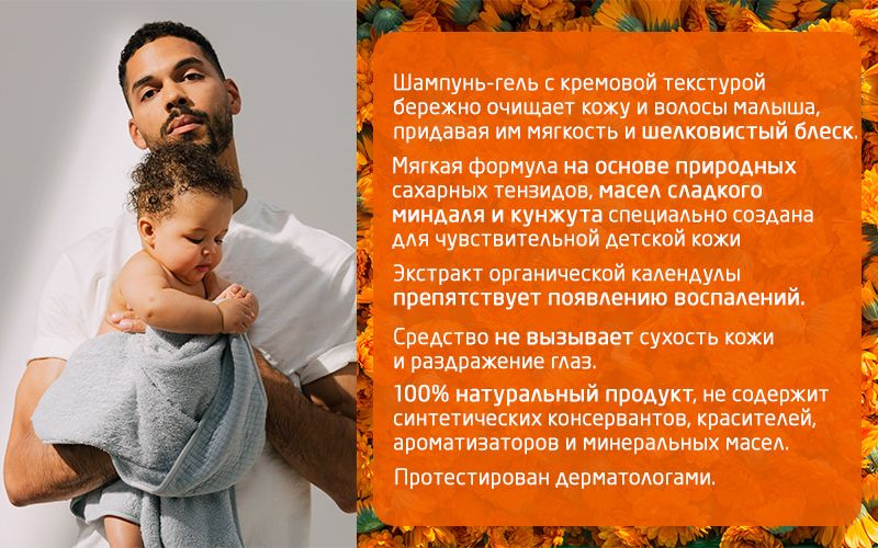 Текстовое описание изображения