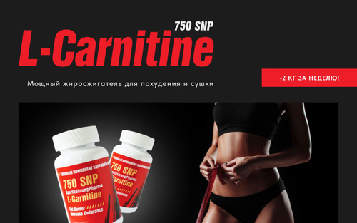 wholesale pure l carnitine powder L-Carnitine Powder | Fitness Support